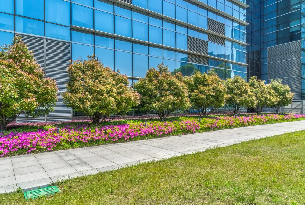 maçonnerie paysagère professionnels